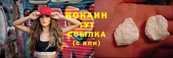 прущие грибы Россошь