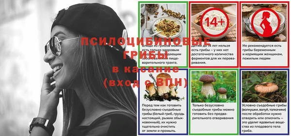 дживик Ростов