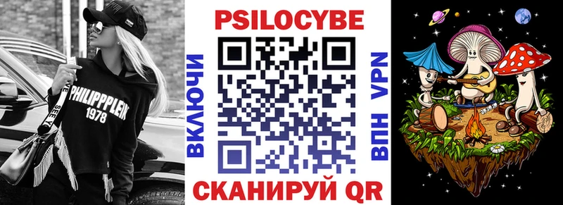 Галлюциногенные грибы Psilocybe  Заинск 